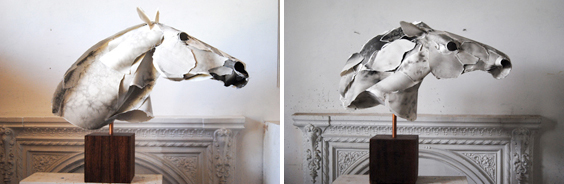 Horse Busts by Anna-Wili Highfield
