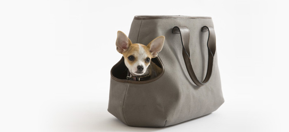 Mungo Maud Dog Bags