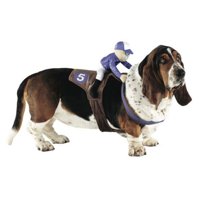 Jockey dog costume